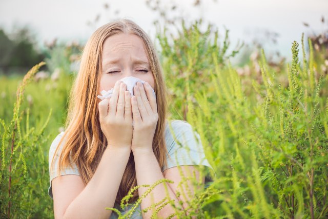 Simptomi alergije i kovida često se preklapaju - kako da ih razlikujete?